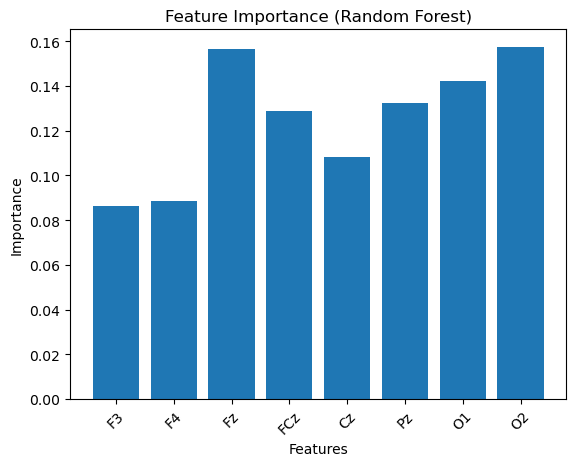 Feature Importance (Random Forest)