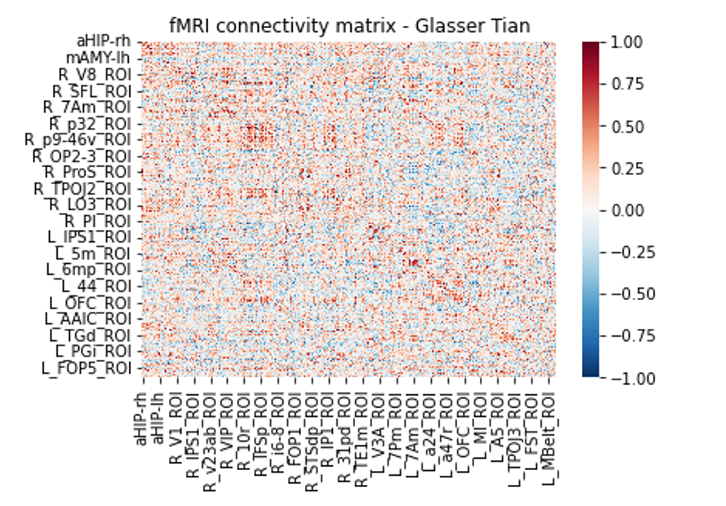 fMRI connectivity matrix for subject 3, a neurotypically developing child