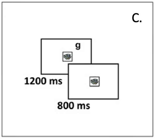 schematic of delayed feedback for the large reward