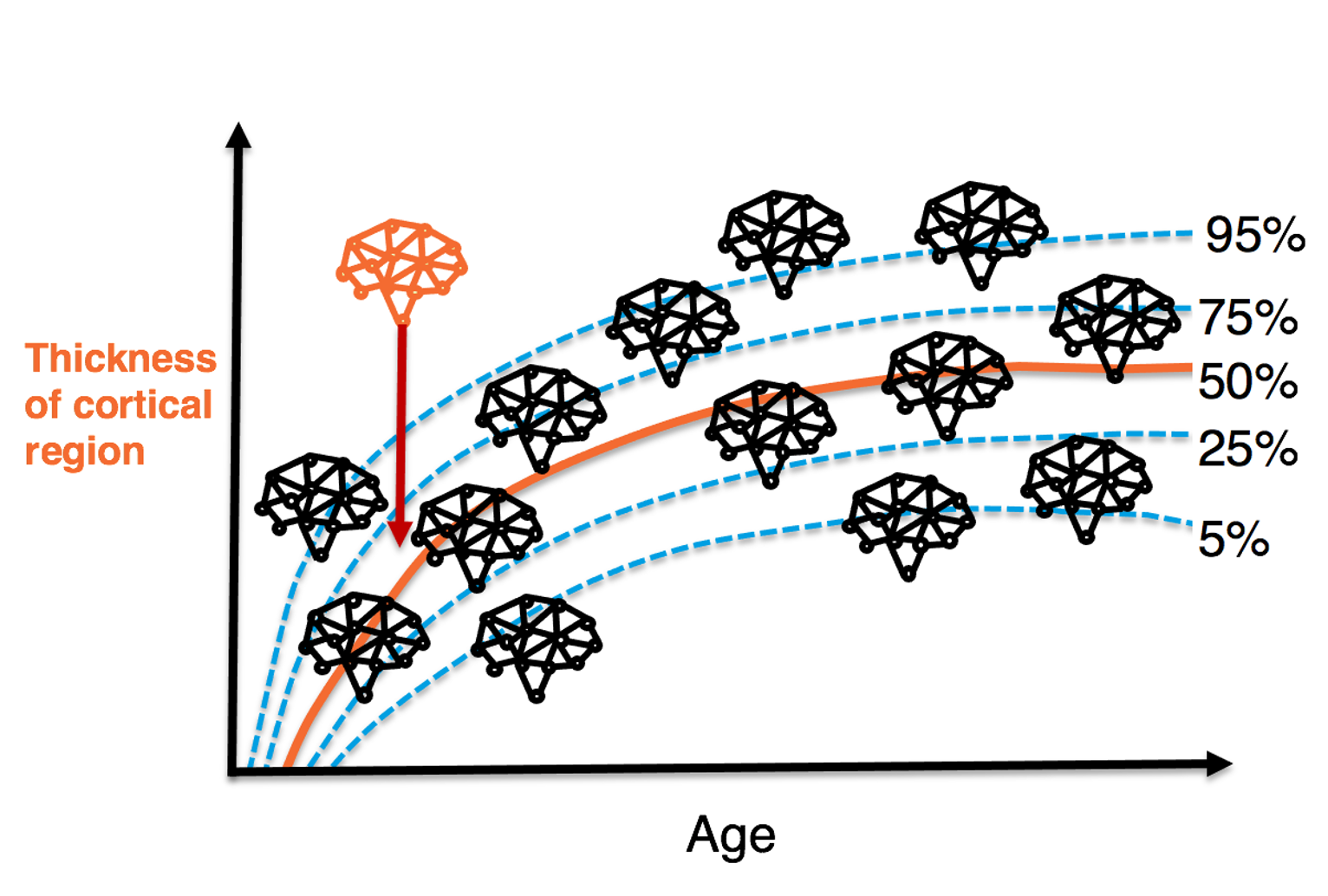 twin-normative-modelling-project